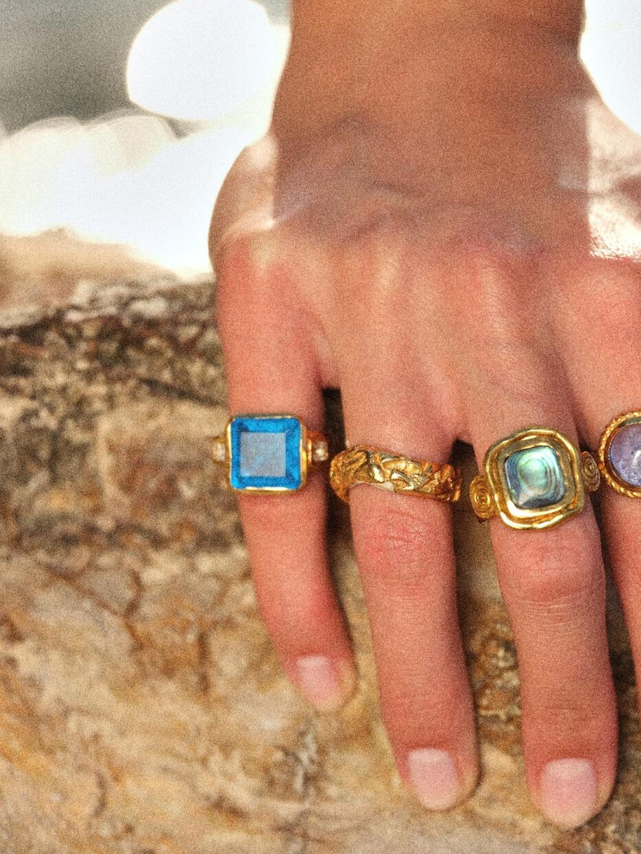 THE ARCTIC RING