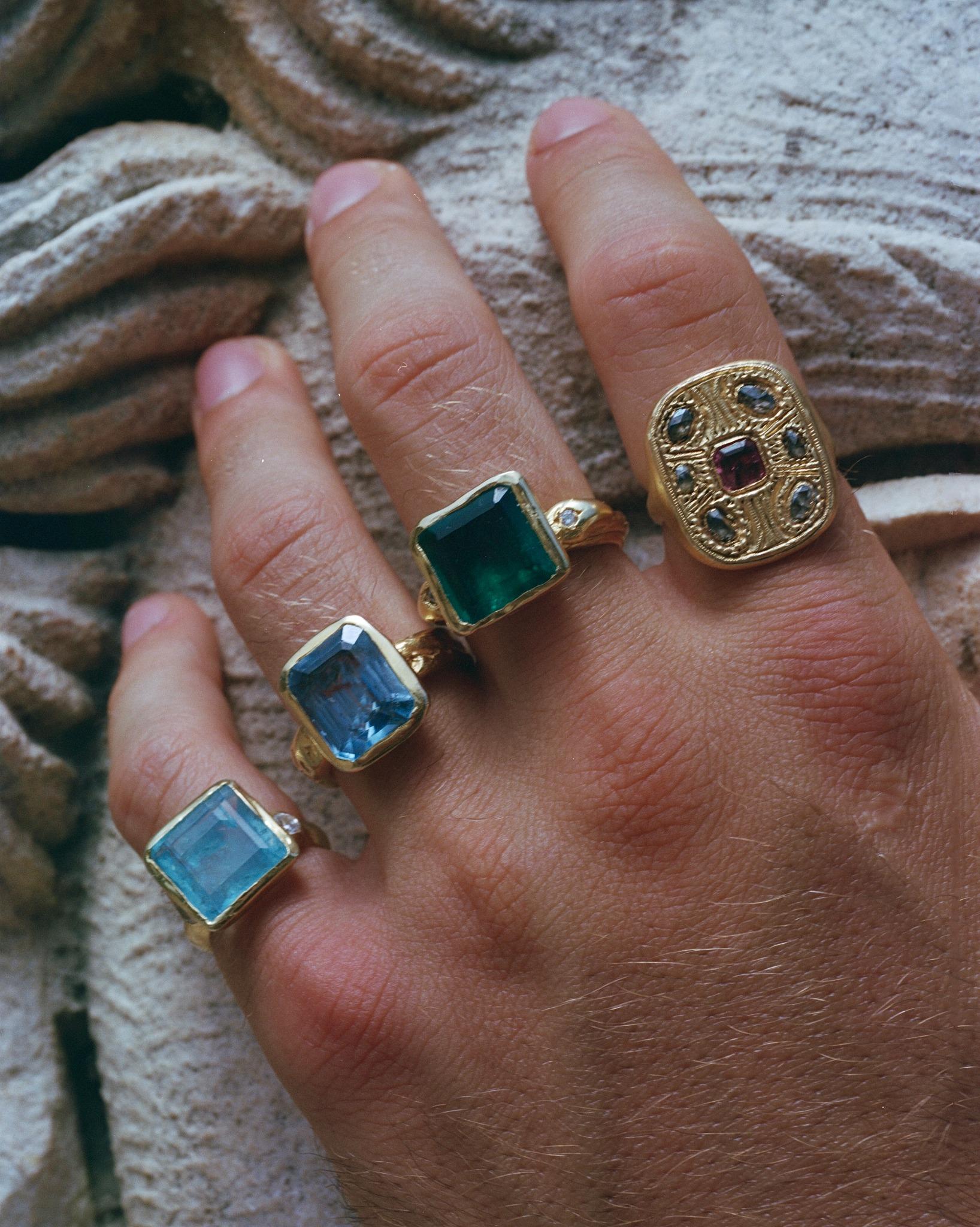 THE ARCTIC RING